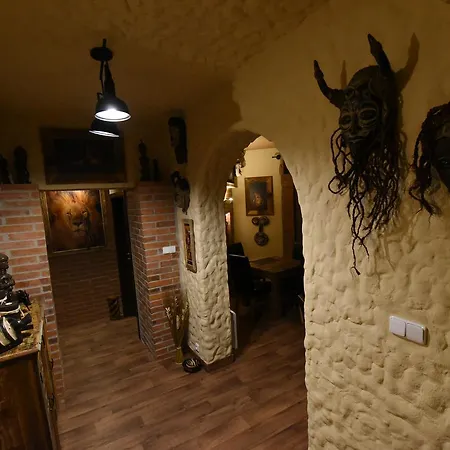 Guest house Cheetah Club