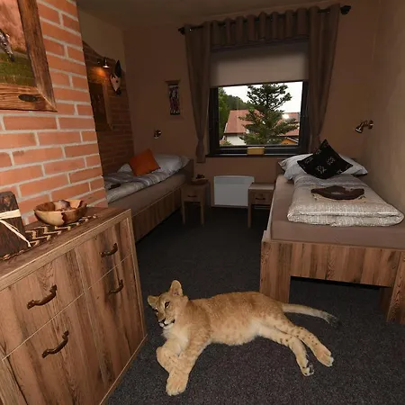 Cheetah Club 3* Vizovice