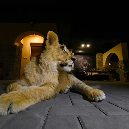Cheetah Club 3* Vizovice