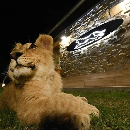Cheetah Club Gasthof