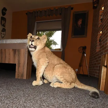 Penzion Cheetah Club 3*