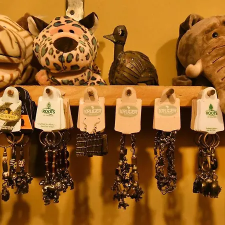 Guest house Cheetah Club 3*